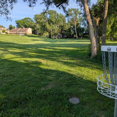Hole 5 basket