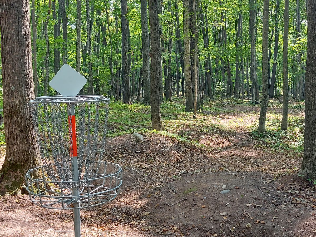 Reverse back up the fairway on hole 7.🪵🌳🪵🌳