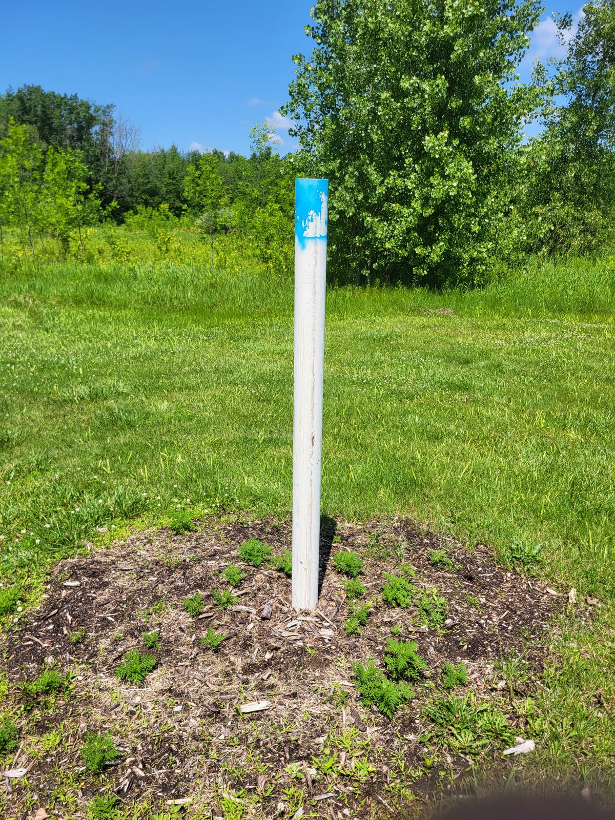Hole 6, since it has been stolen.
