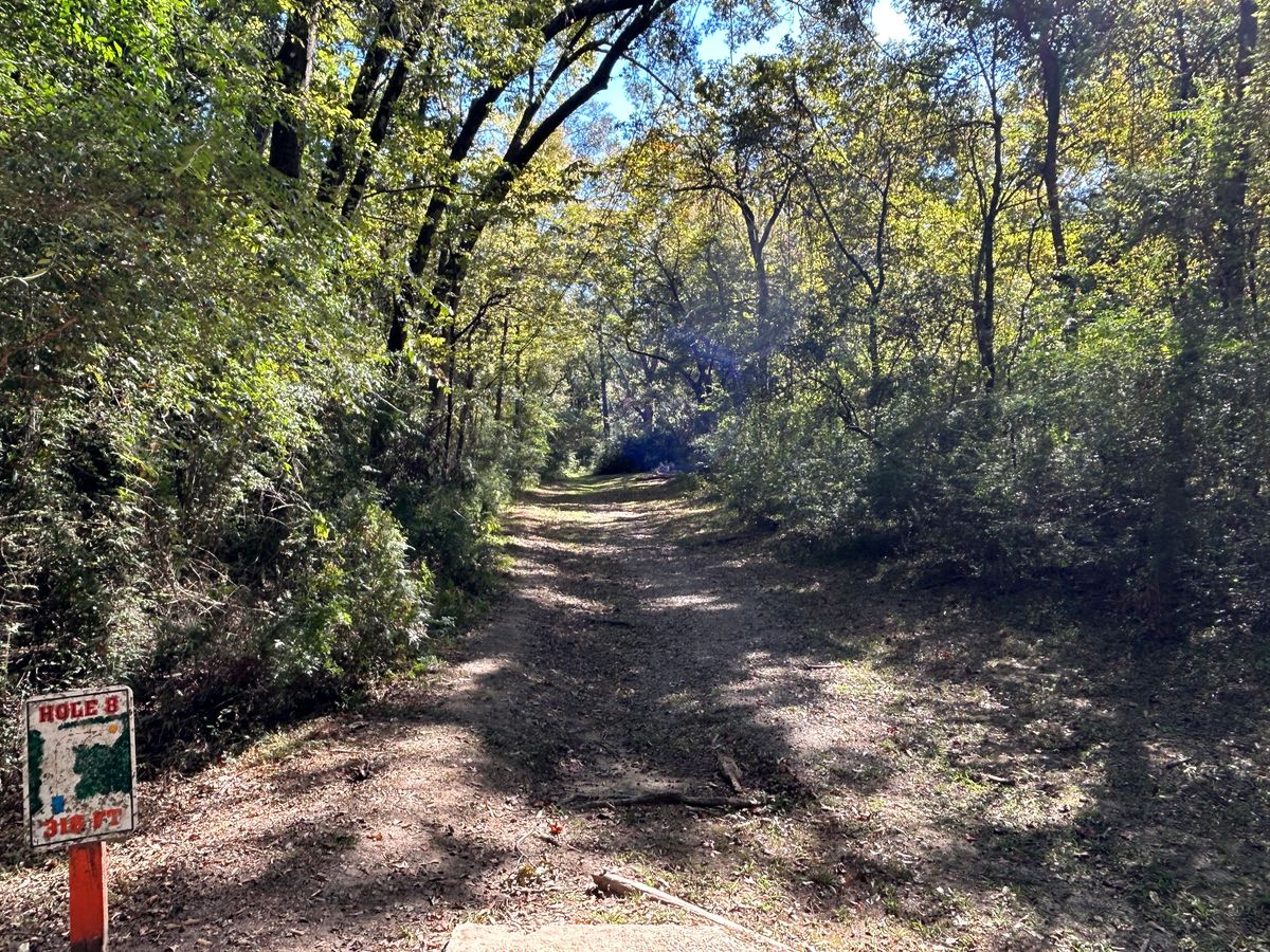 Hole 8 Fairway