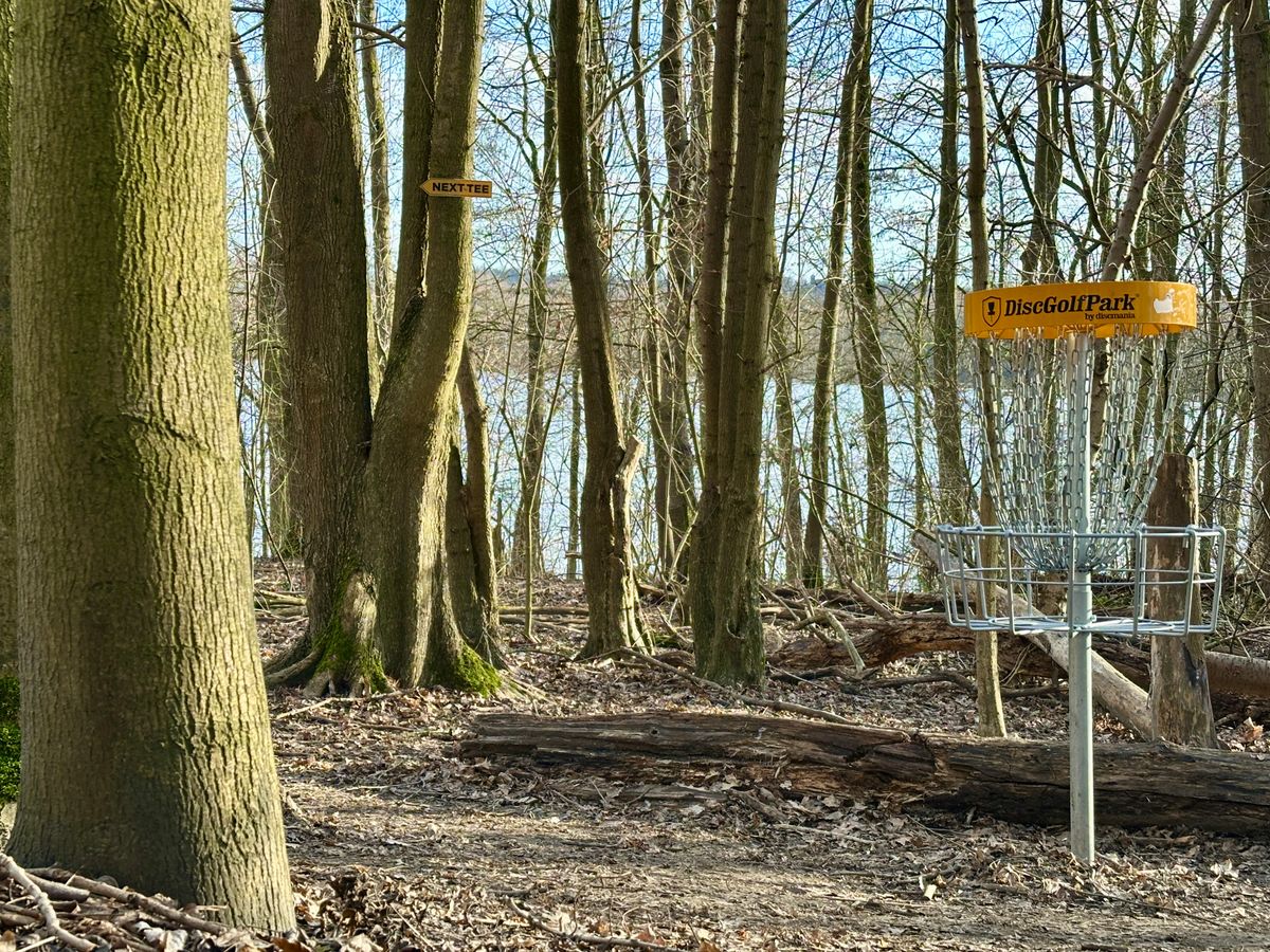 Basket at tee 4