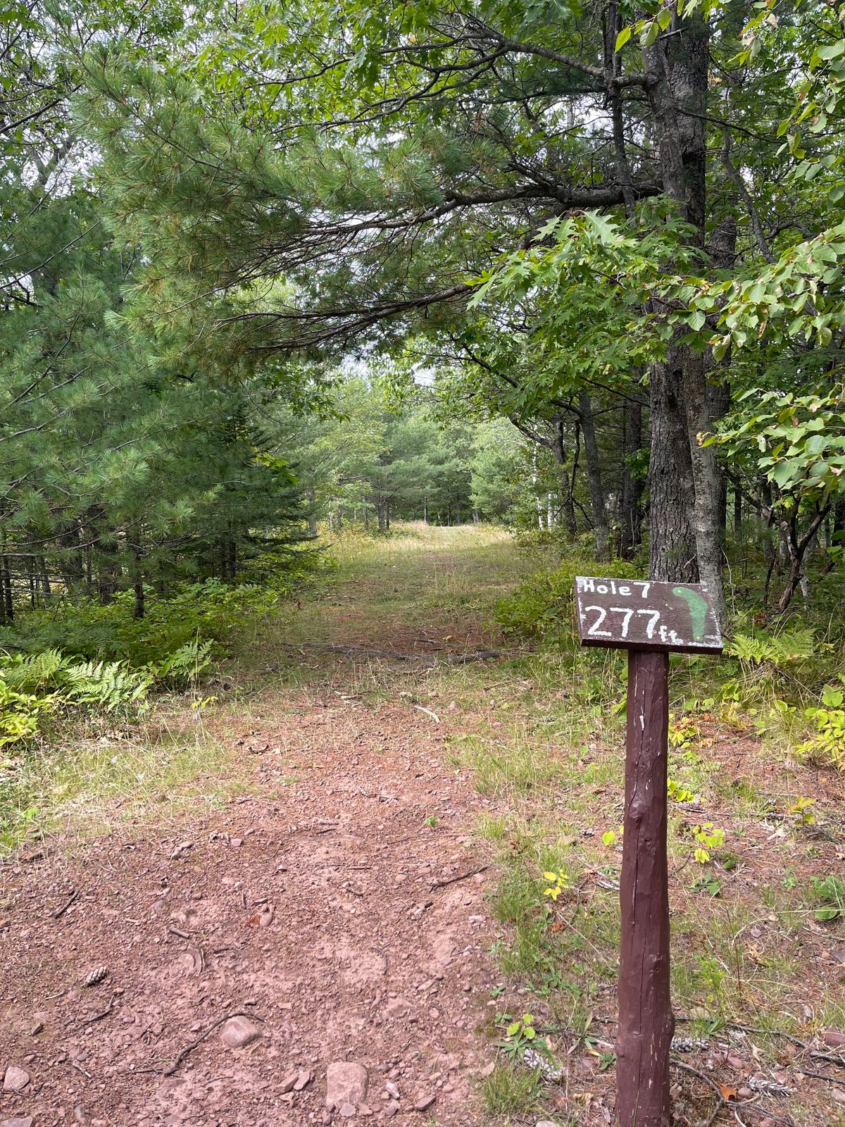Hole 7 teepad