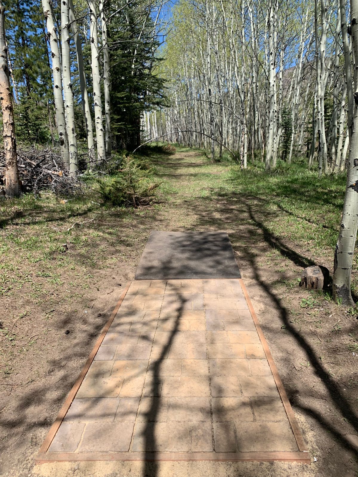 Hole 9