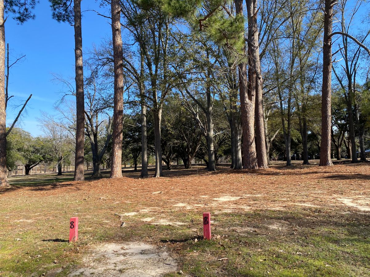 Hole 8 - 245ft. Straight down the gut.