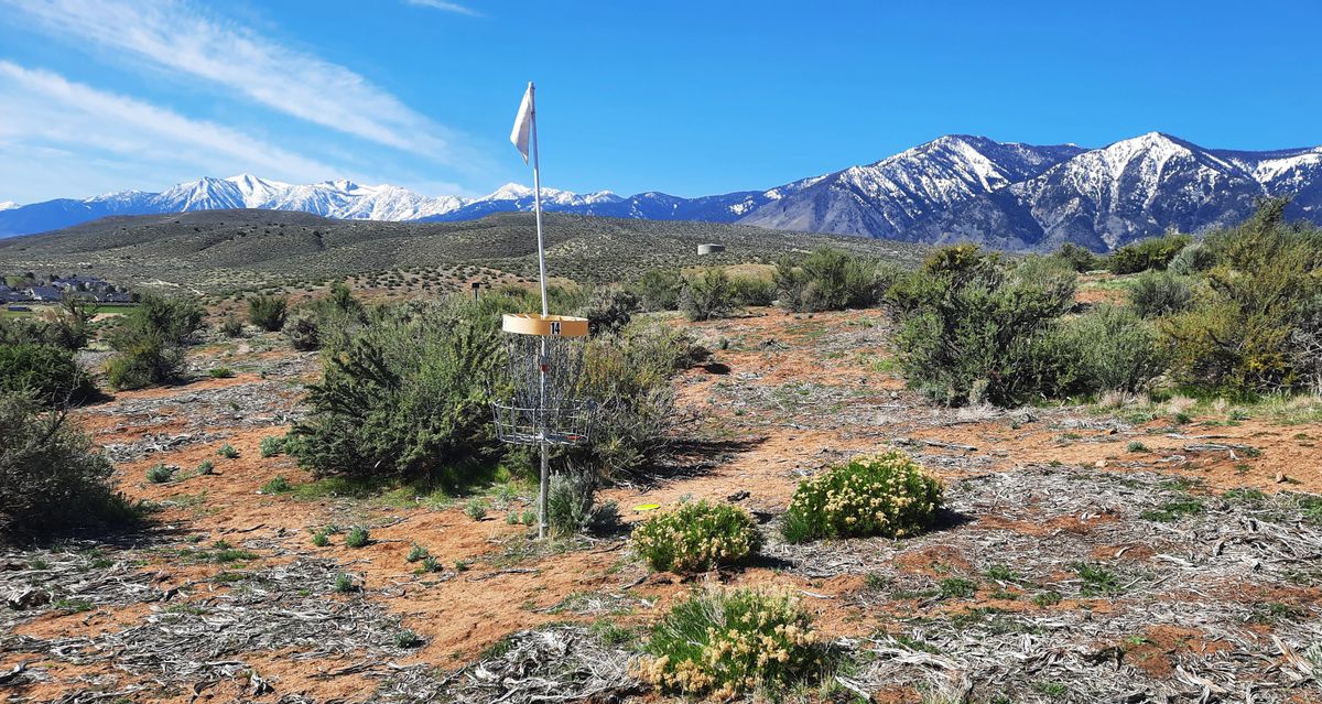 Hole 14. Long bomb par 3.