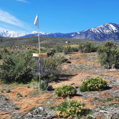 Hole 14. Long bomb par 3.
