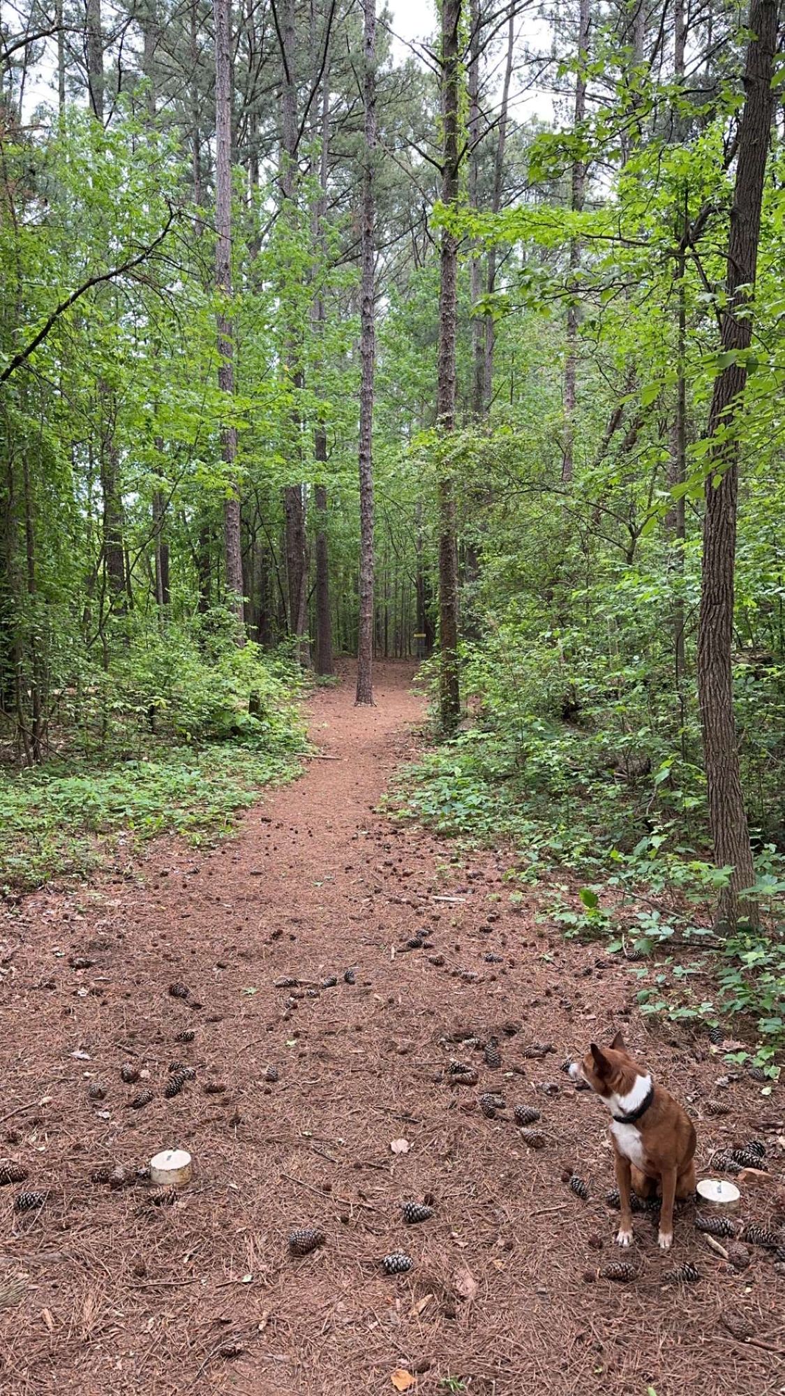 Hole 7