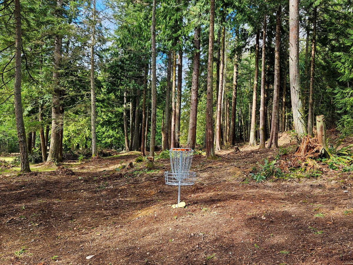 Blue 16 basket, looking towards tee