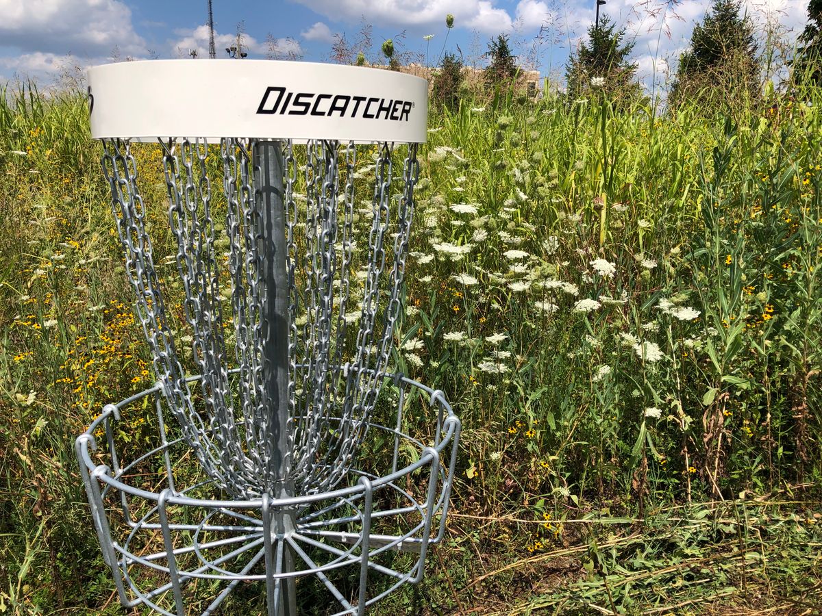 Hole 12 basket