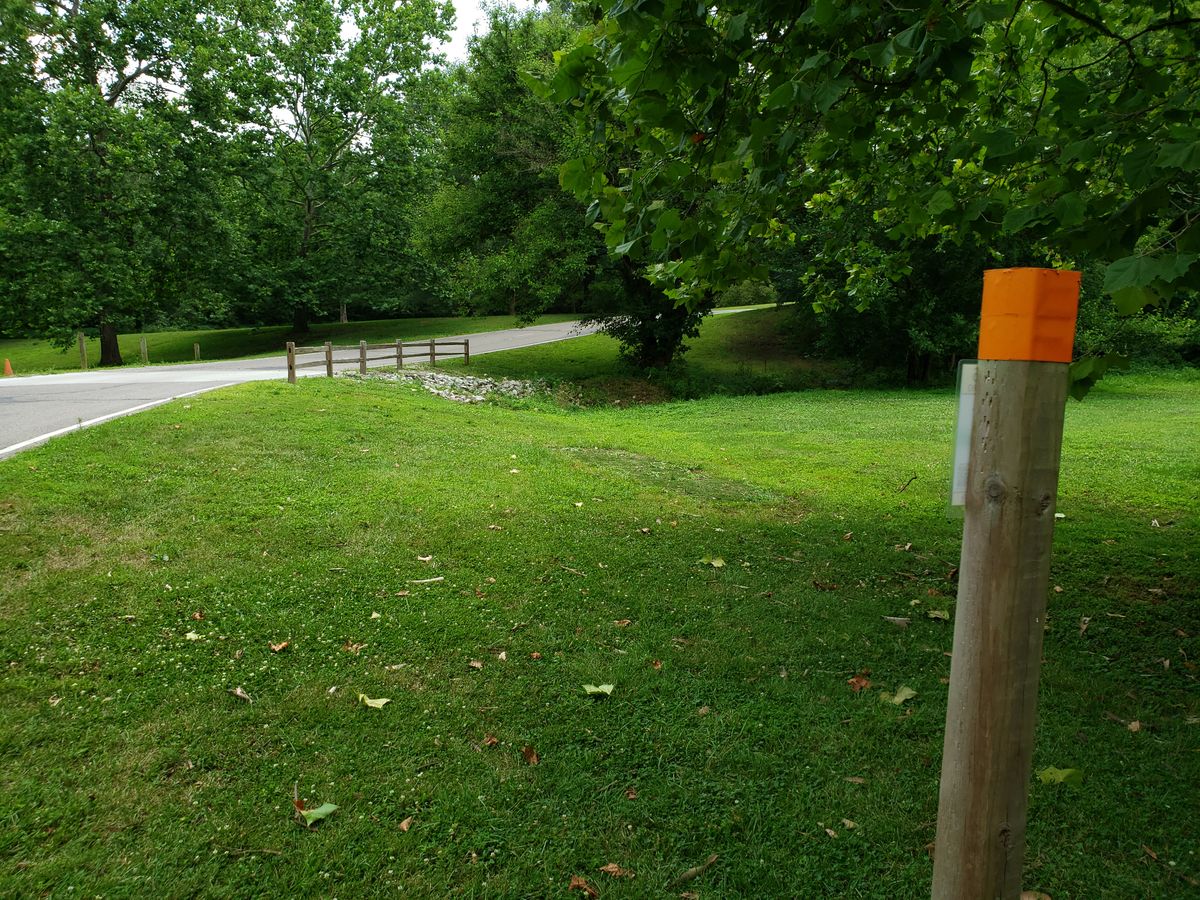 #6 Pro Tee Sign Post facing back toward #5 Basket.
