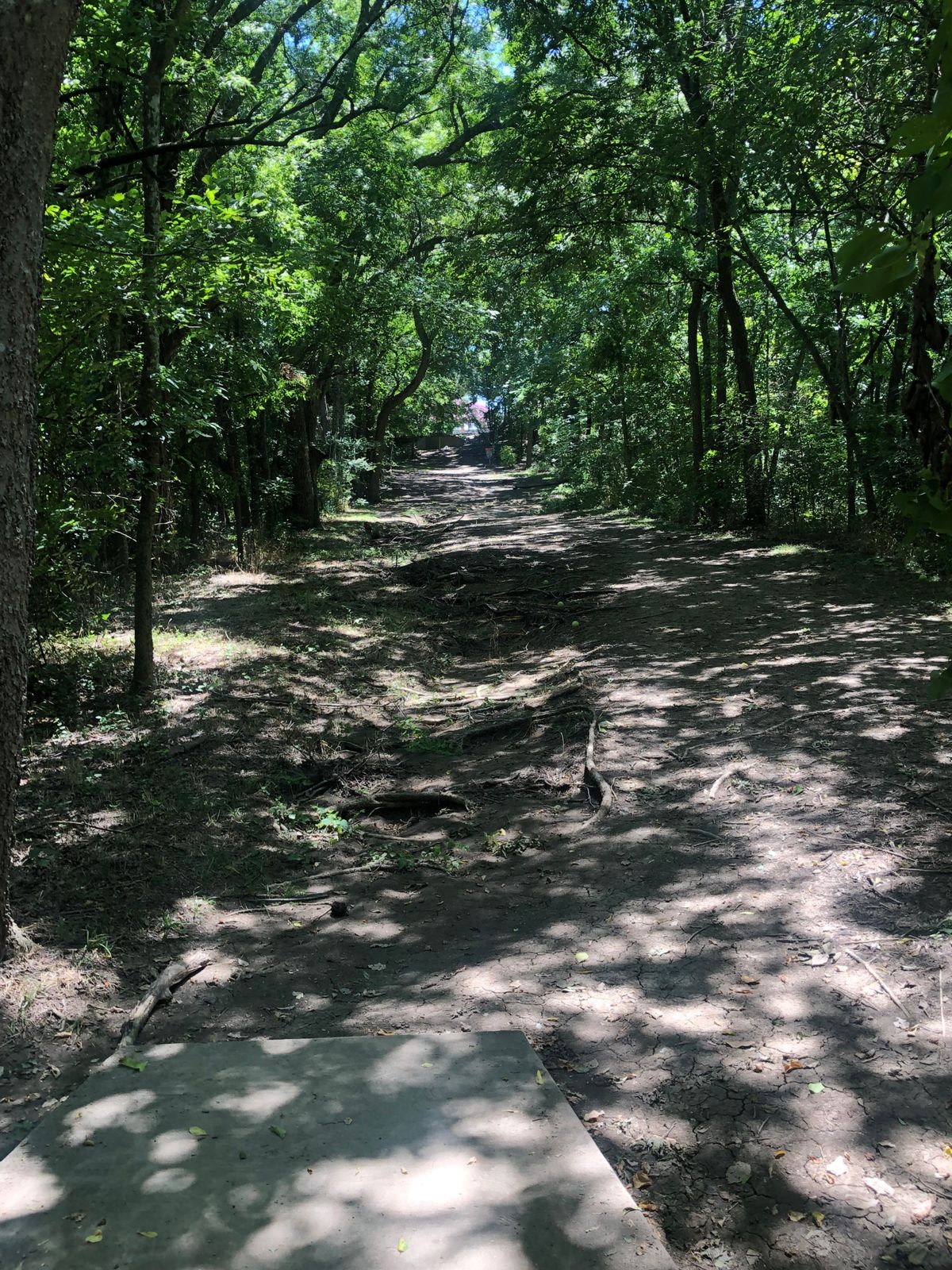 Hole #13