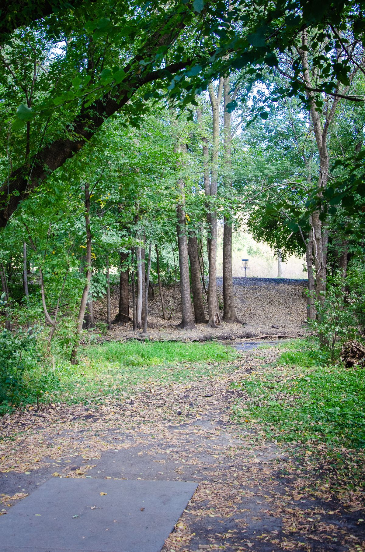 Hole 17 tunnel over the creek