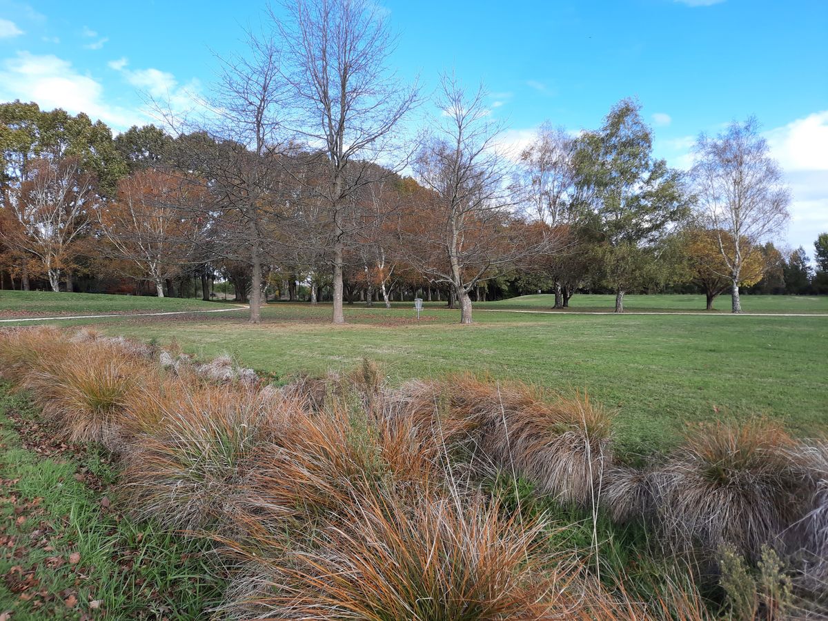 View of the approach, to the basket of hole 1.