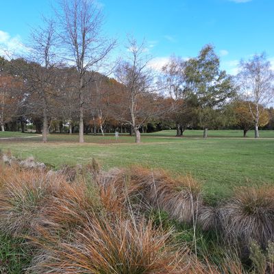 View of the approach, to the basket of hole 1.