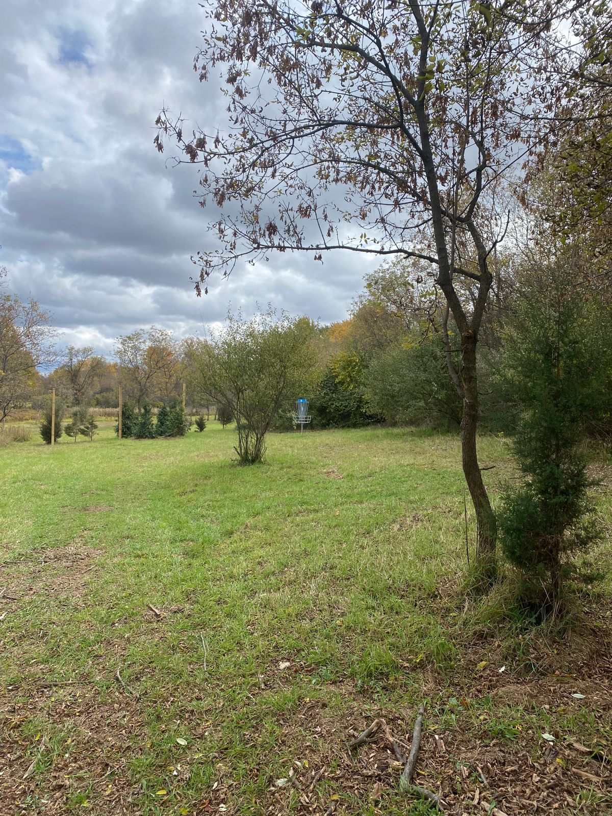 Hole 8 Basket