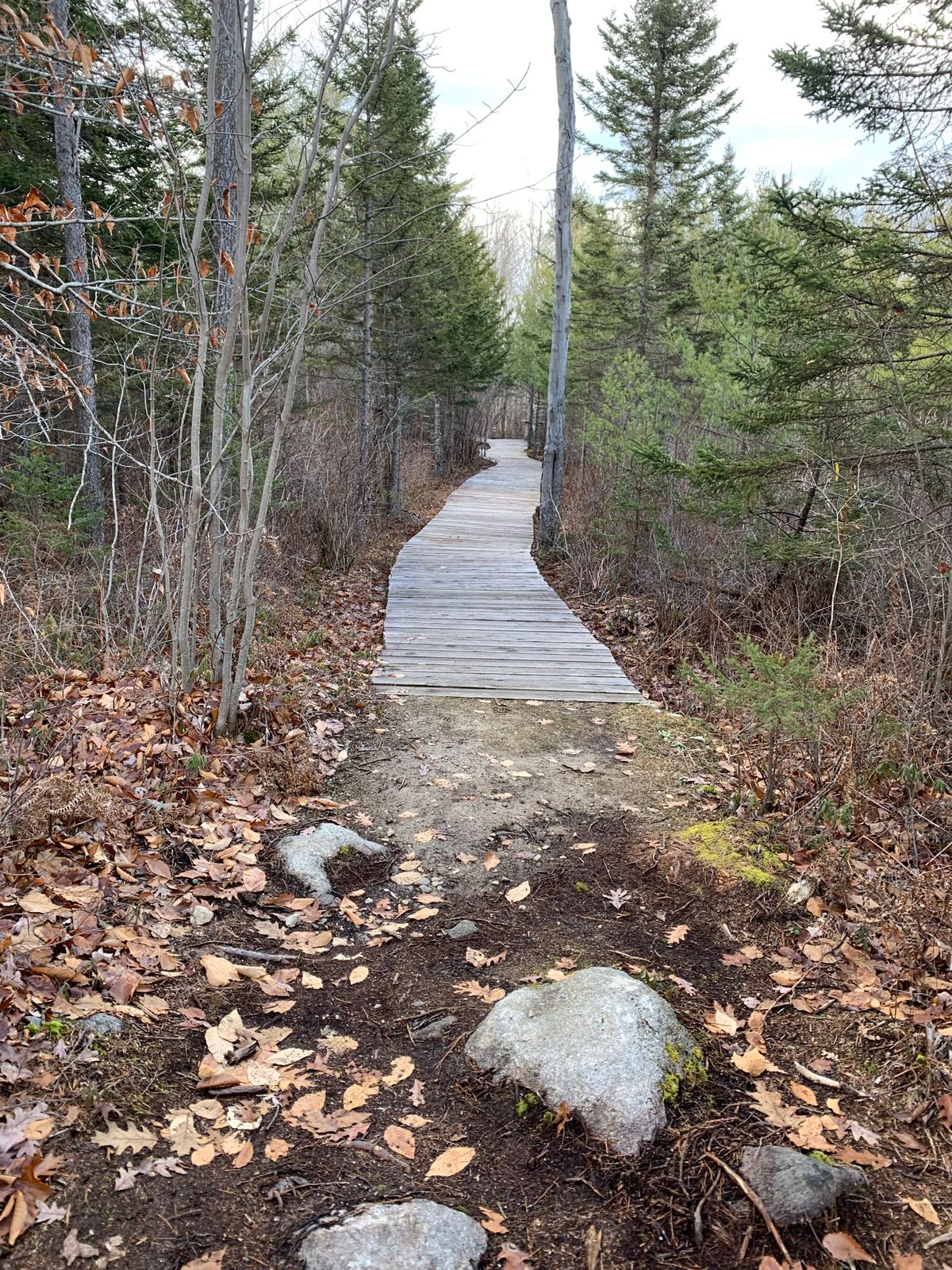 Awesome bridges all around the course