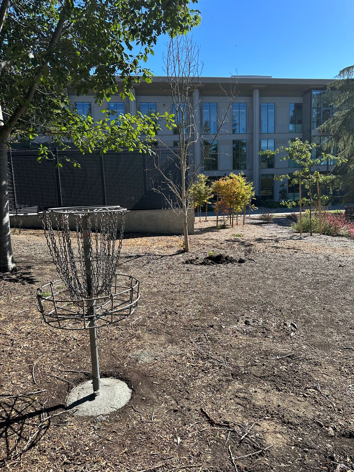 Hole 6 basket