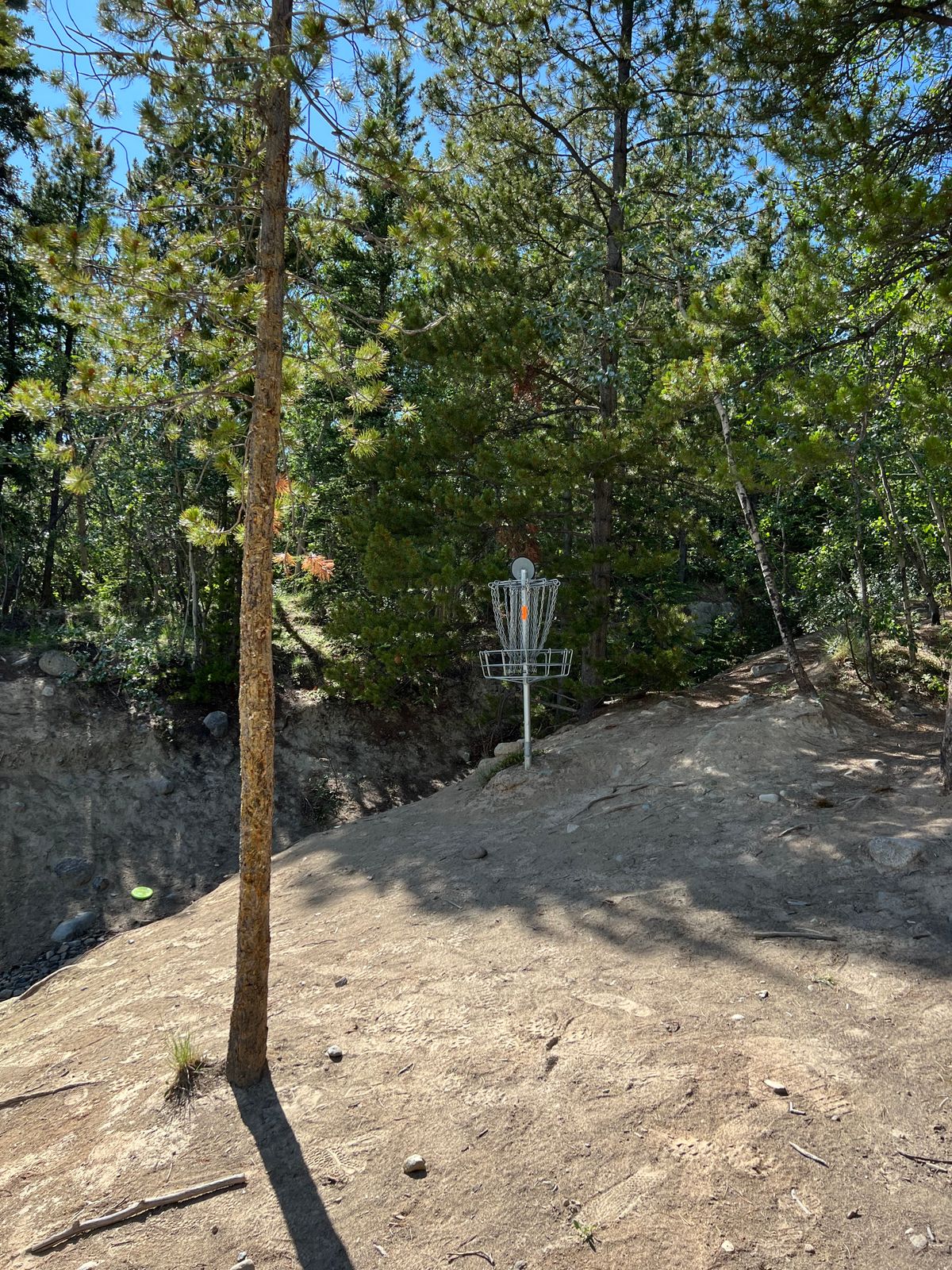 Hole 17 basket