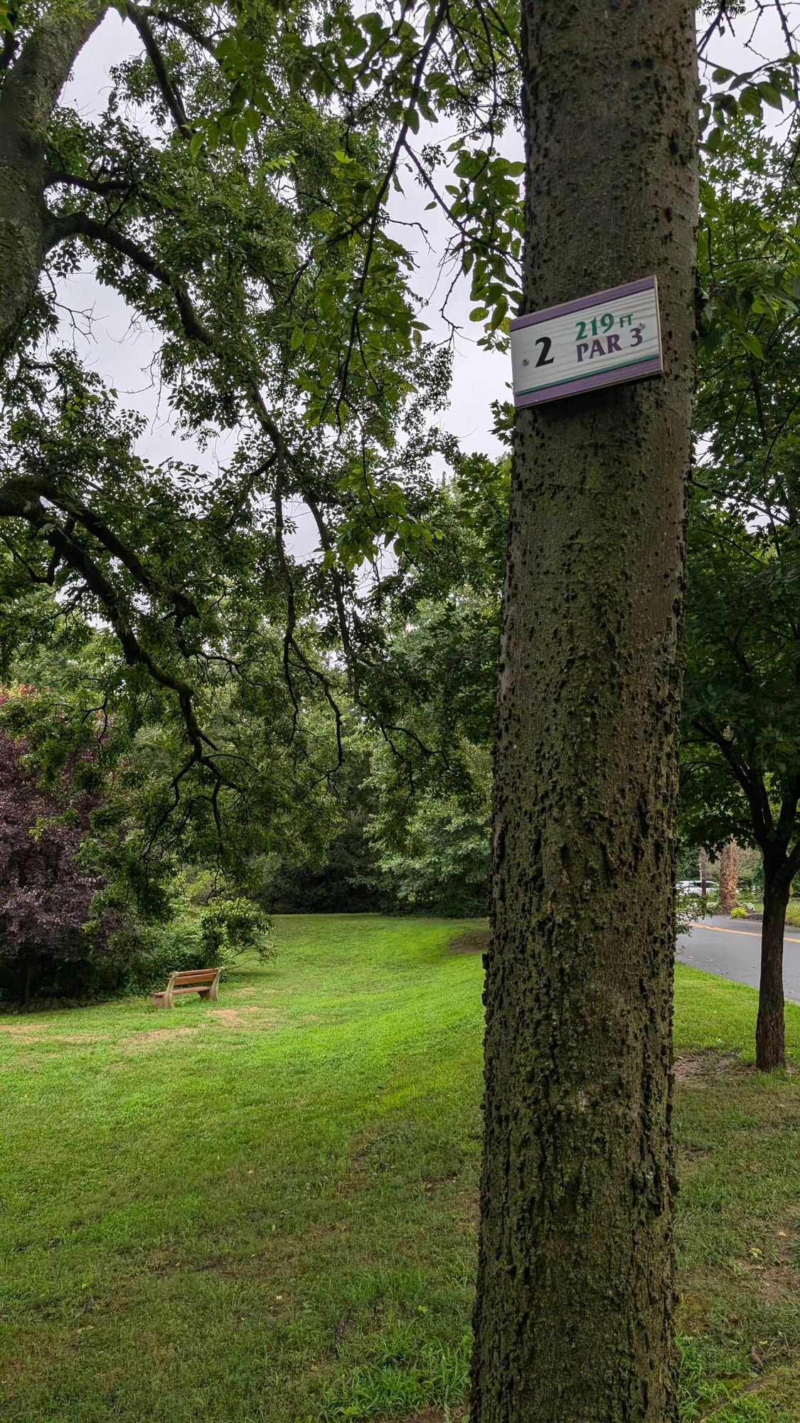 Hole 2 Tee (new sign)