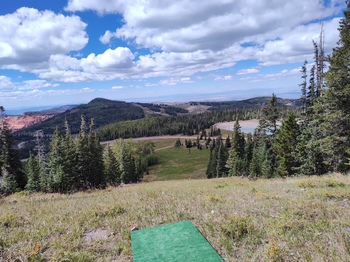 Tee of hole 8