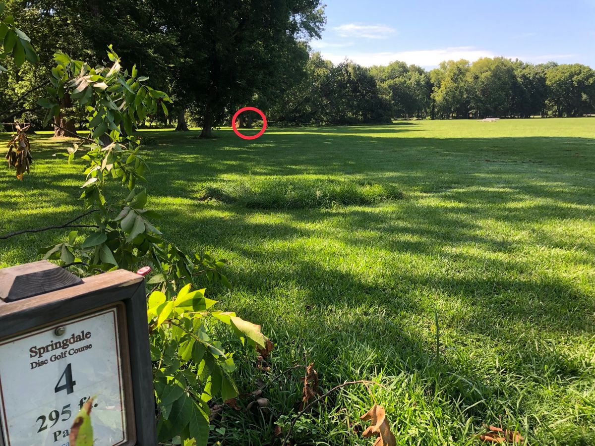 Hole #4 tee
