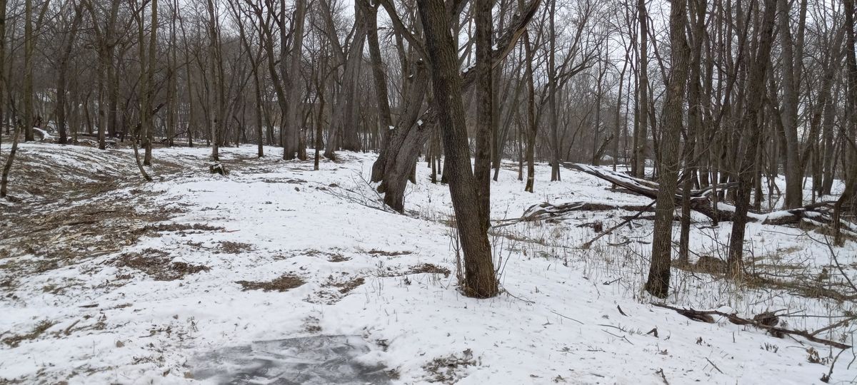 Hole five fairway.