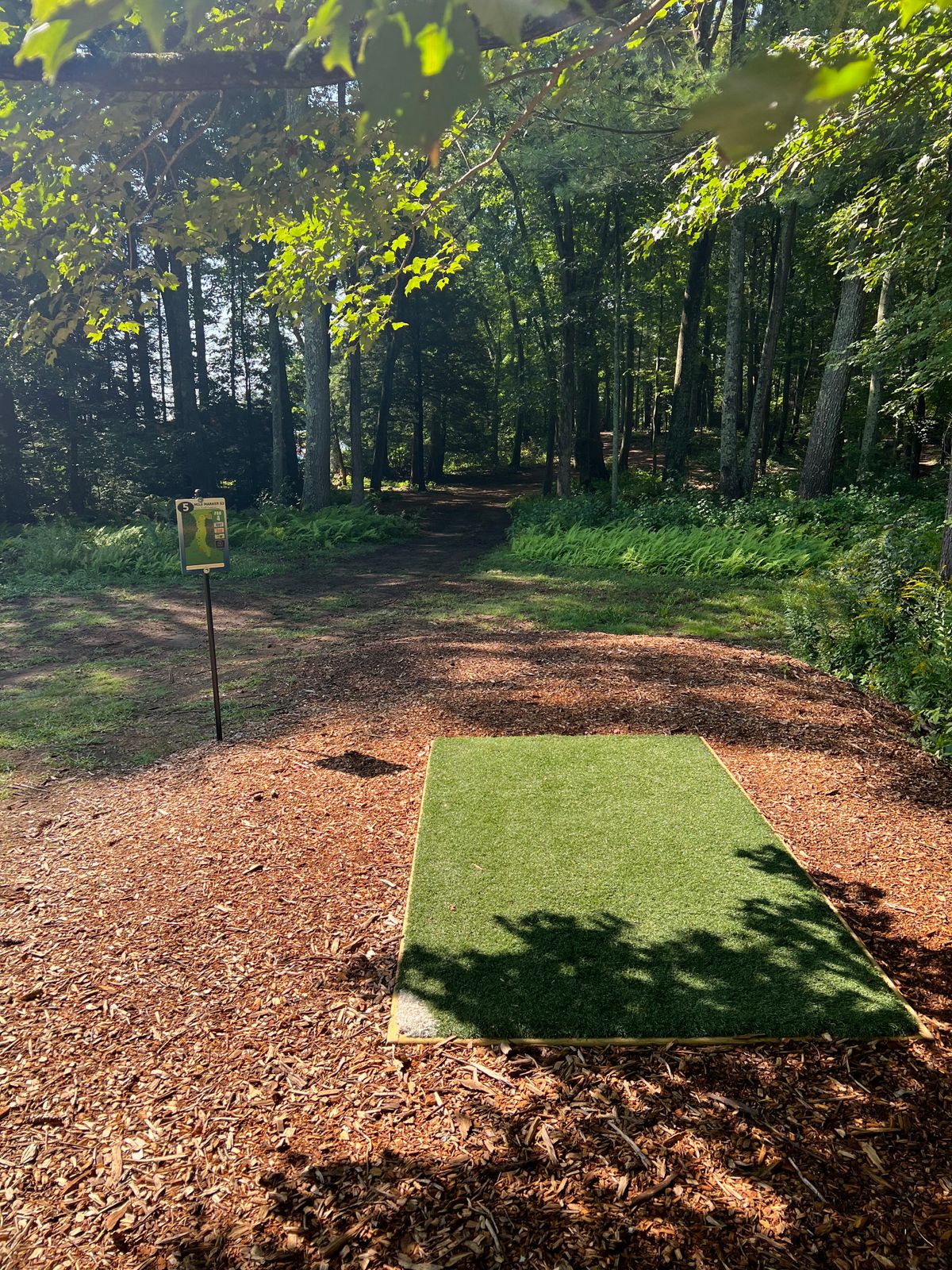Hole 5 Tee