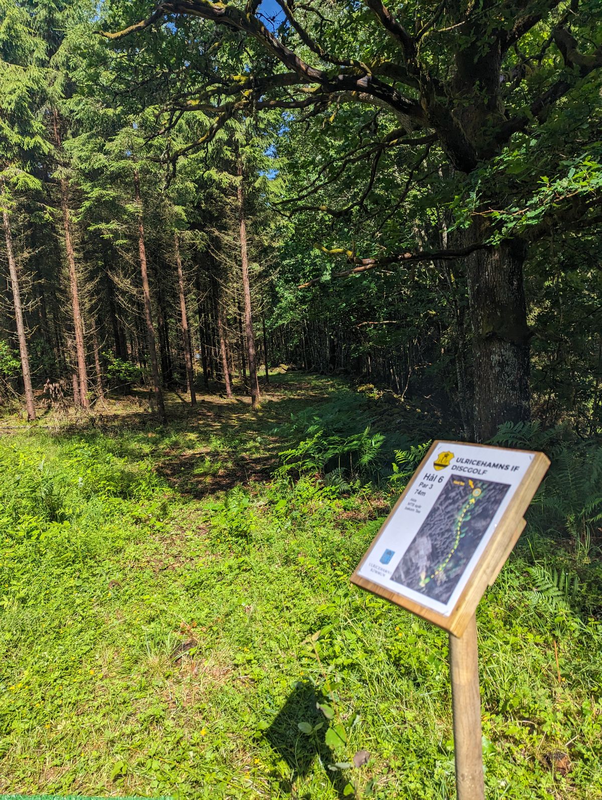 Tee hål 6