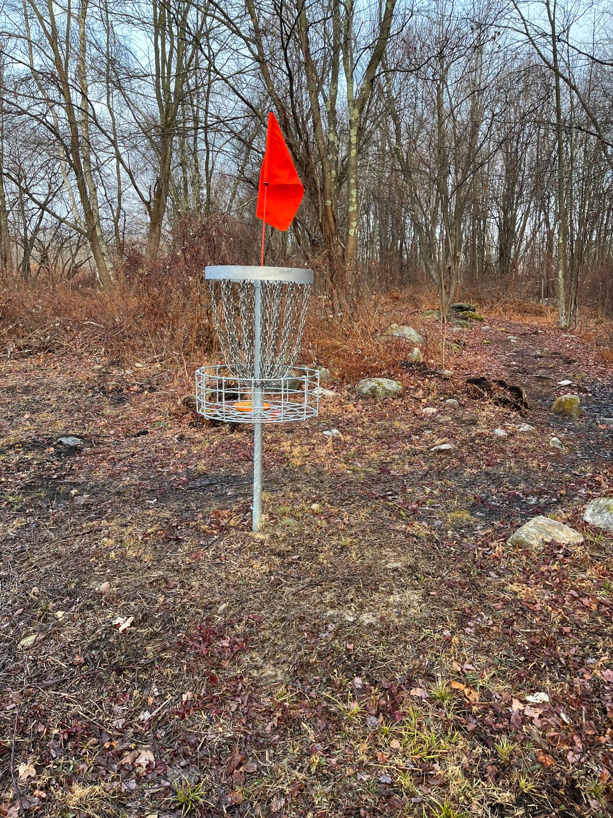 Hole 8