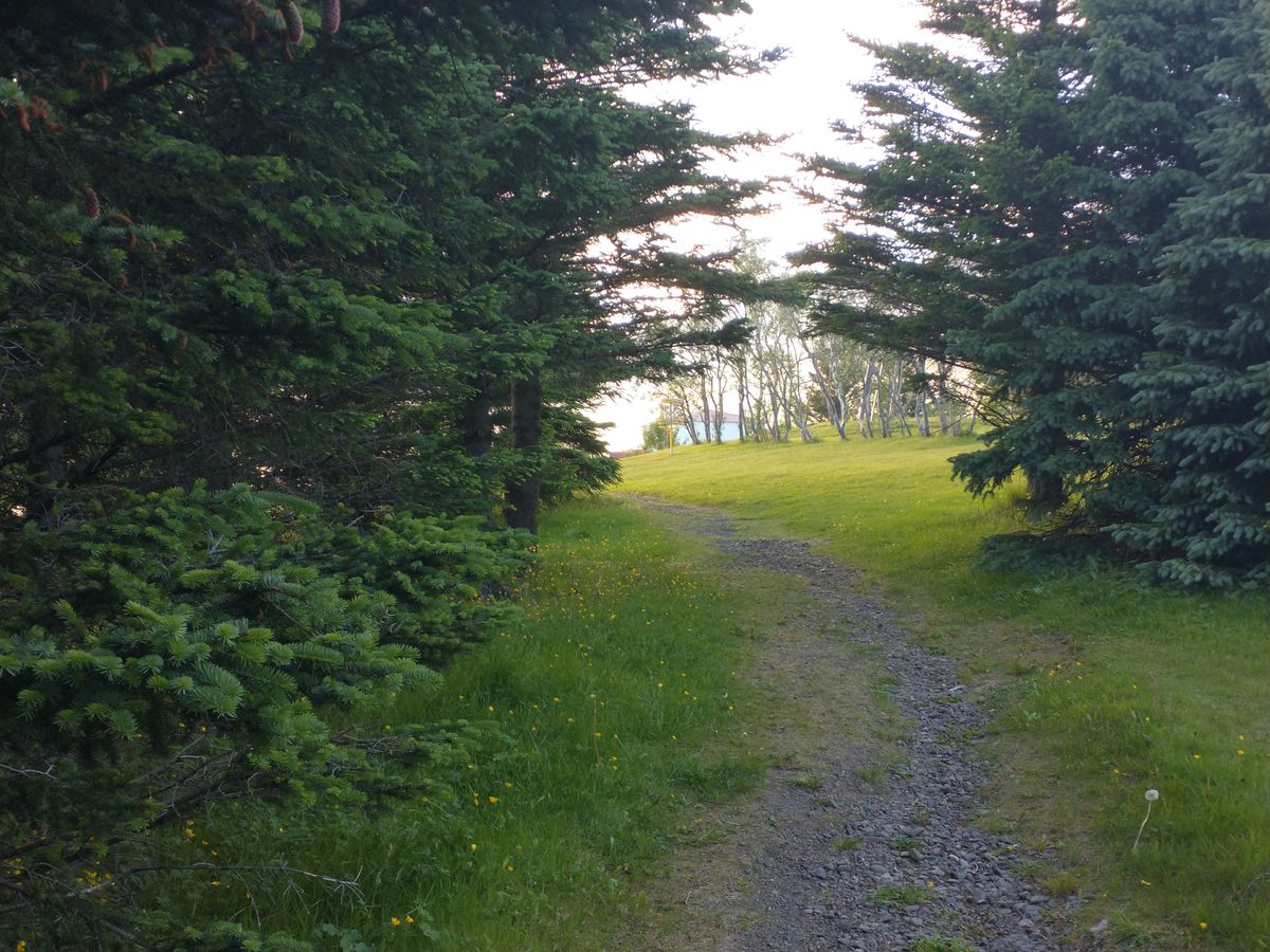 Hole 4