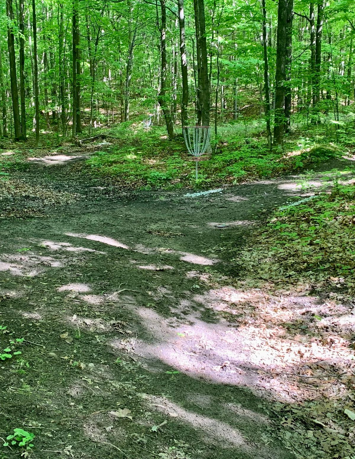 Hole 6