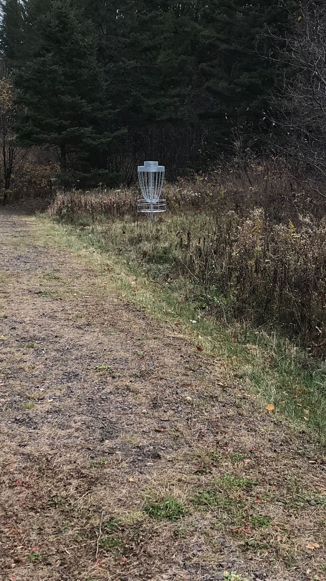 “Down the rabbit hole”  hole 1