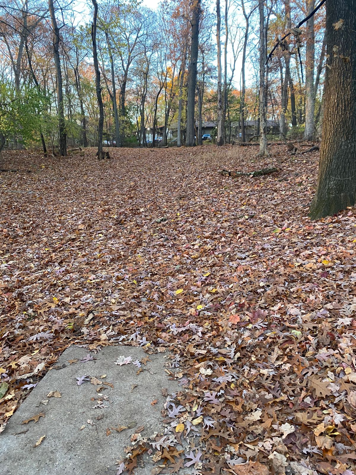 Hole 12 Tee Pad