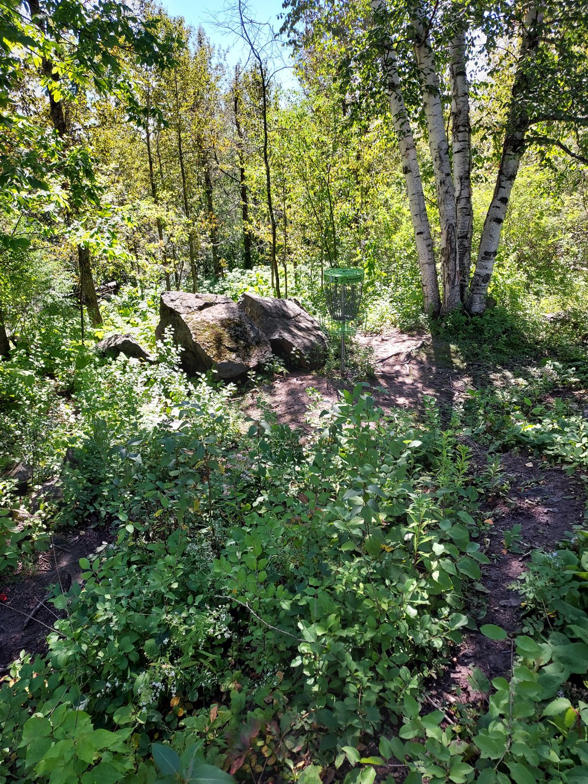 Hole 5 Long Basket
