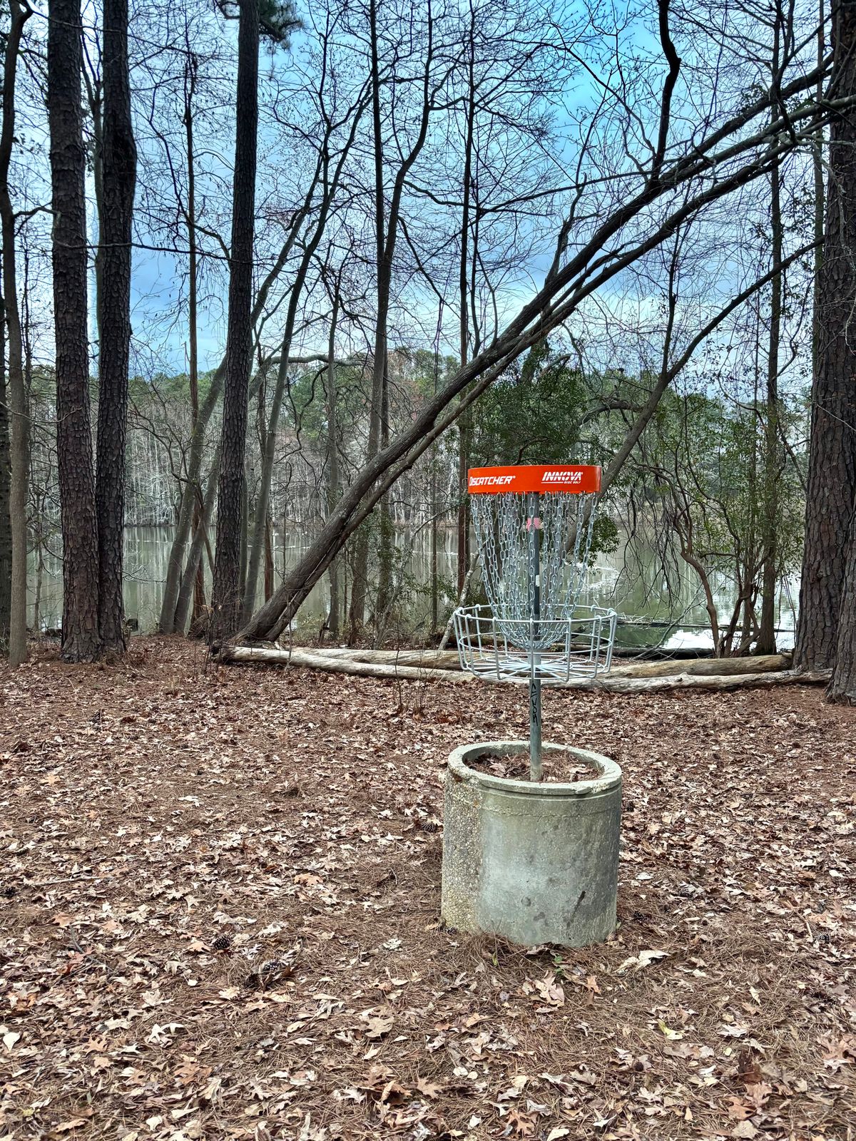 Hole 16 Basket