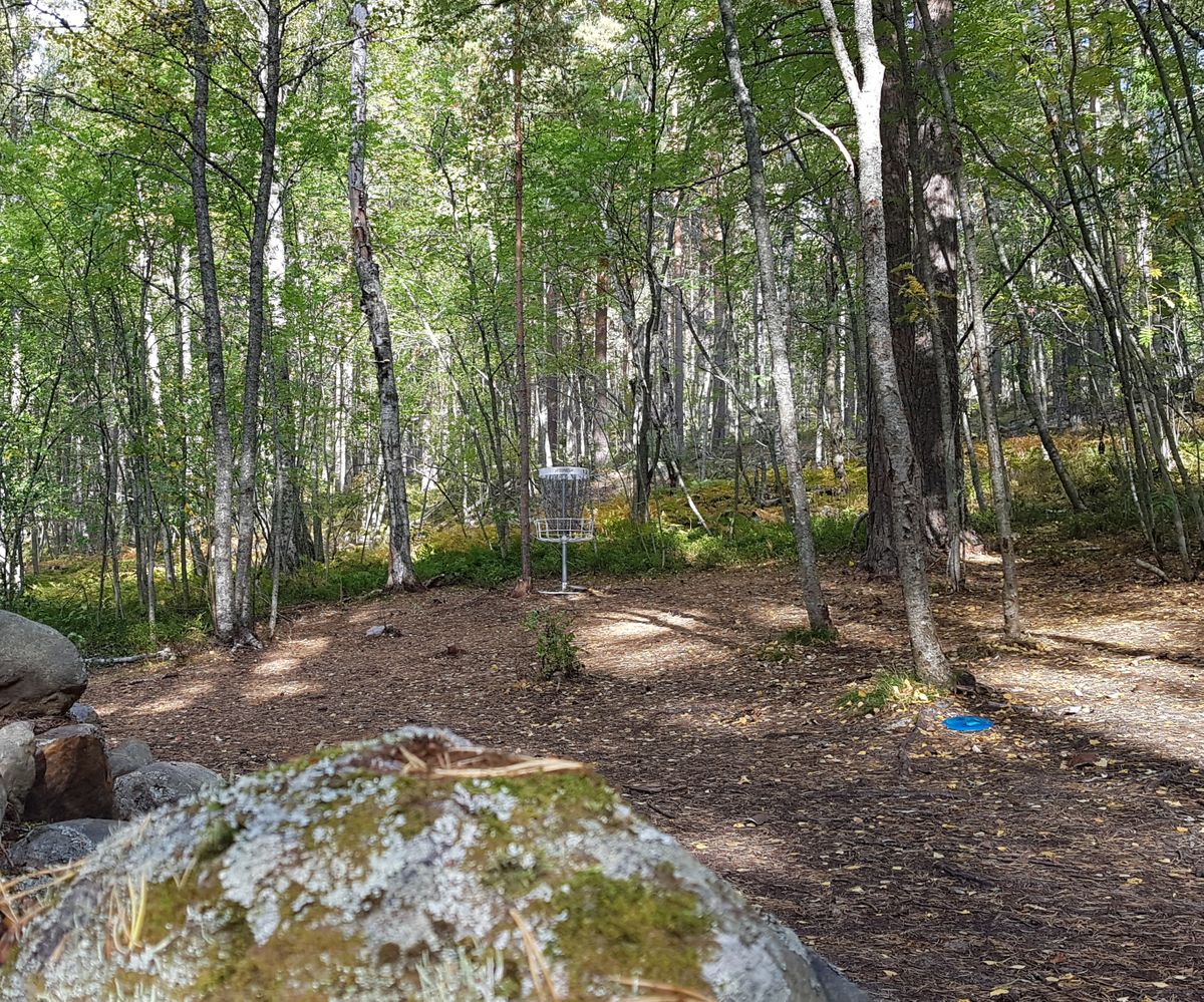 Hål 12