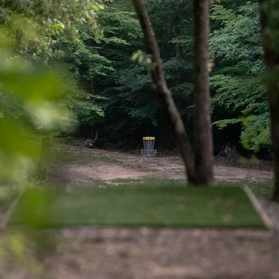 Hole 6 Short Pad