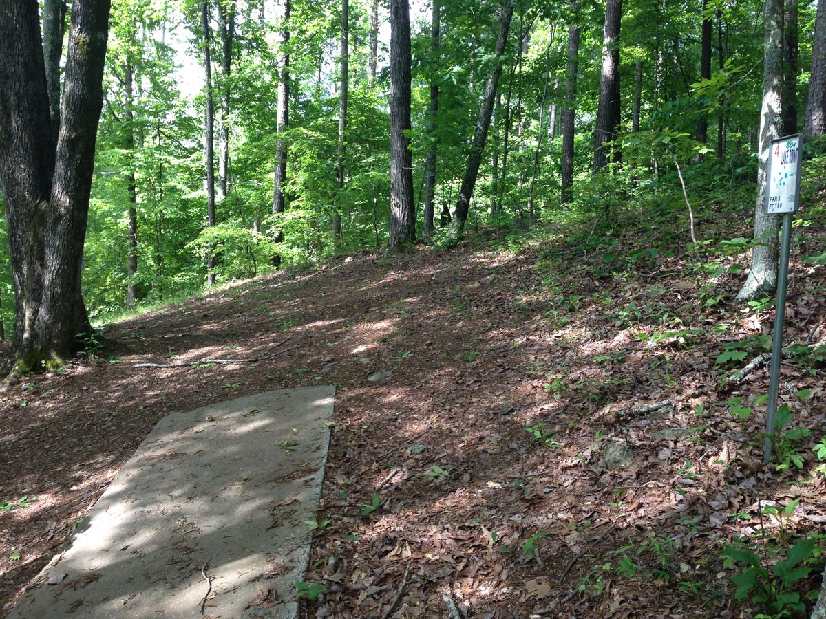 Hole 4