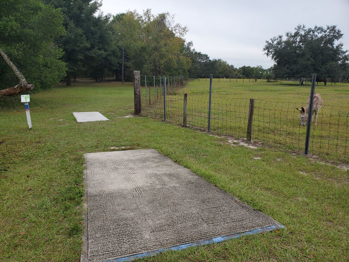 Hole 8 Blue Tee