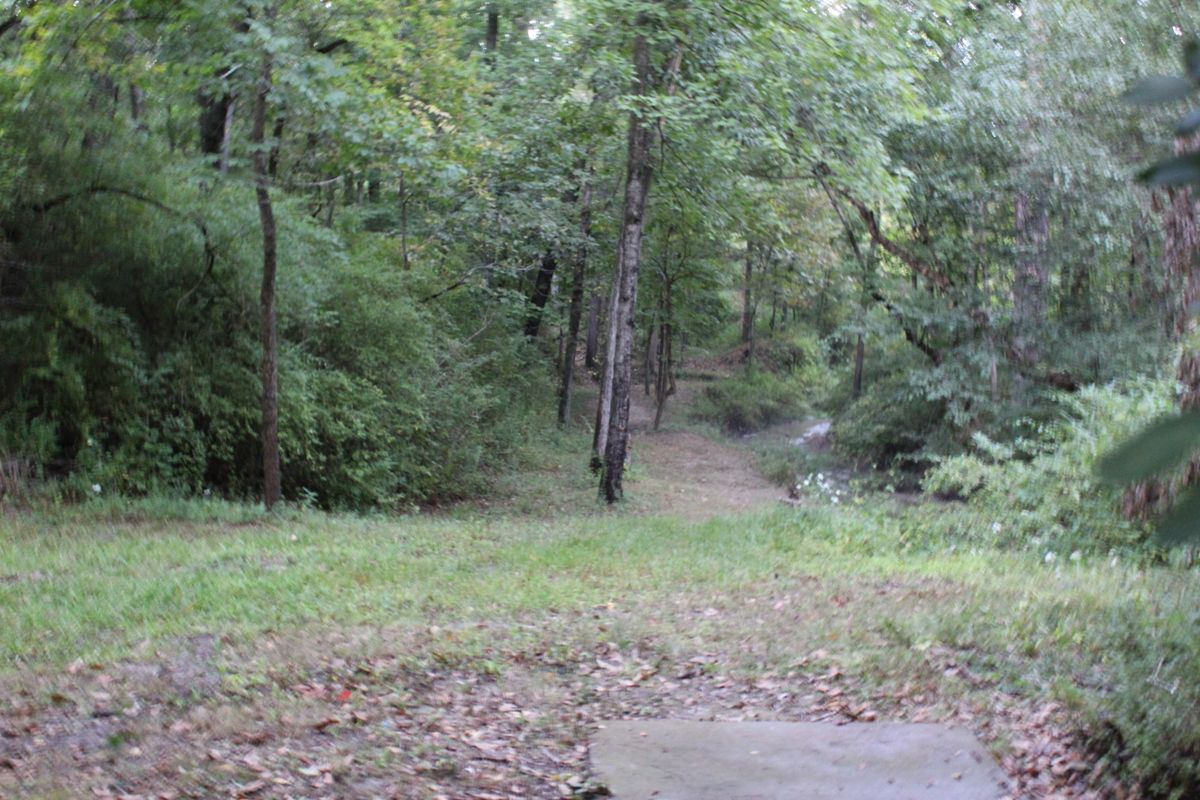 Hole 15 (Tee)