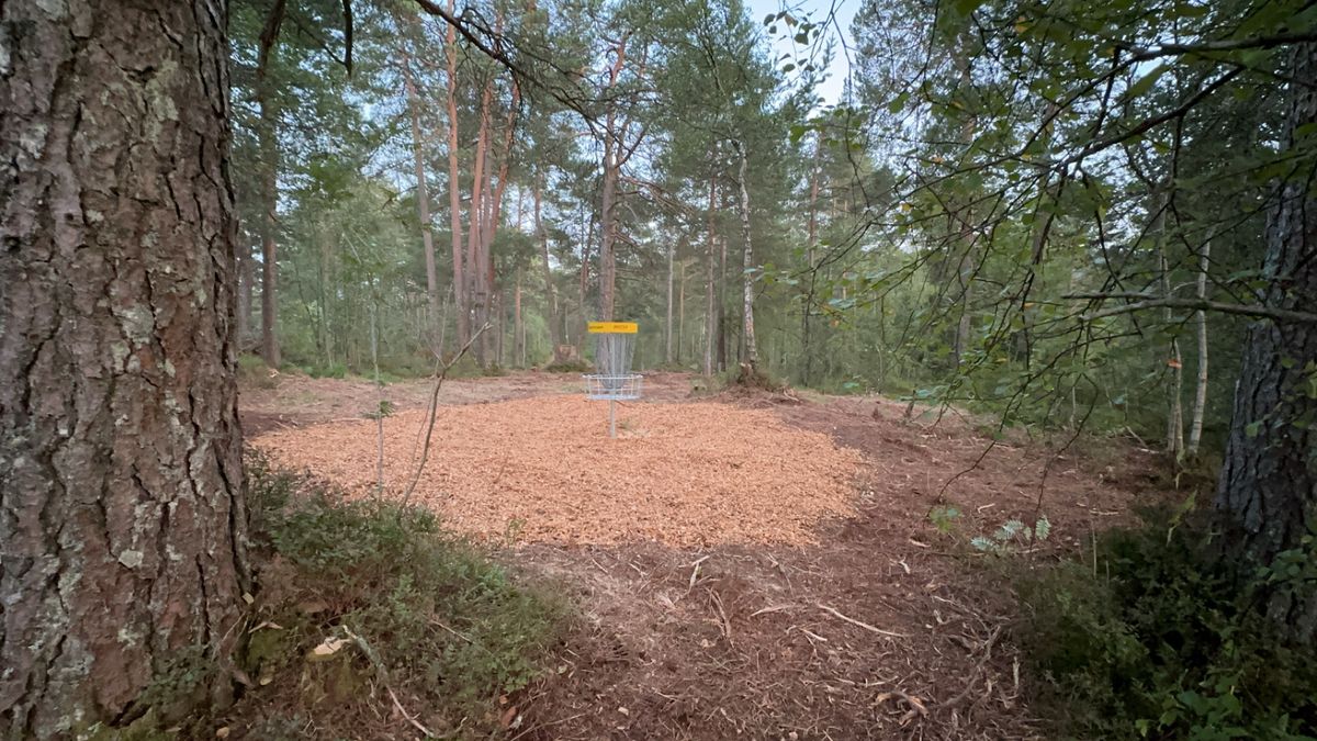 Green on hole 7