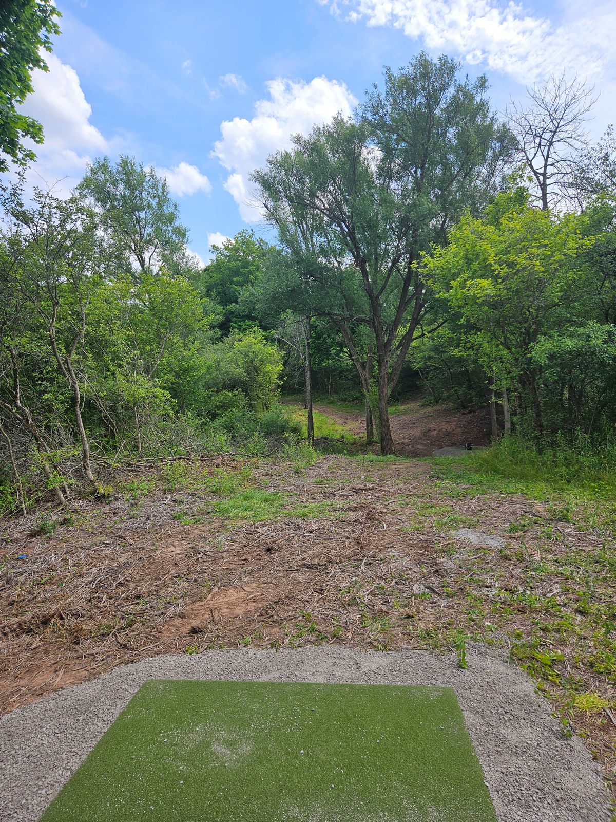 Hole 6, basket is up and to the left
