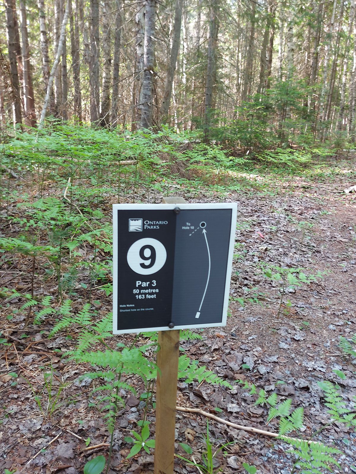Hole sign 9. 163ft 🍁🌲🍁🌲🍁🌲