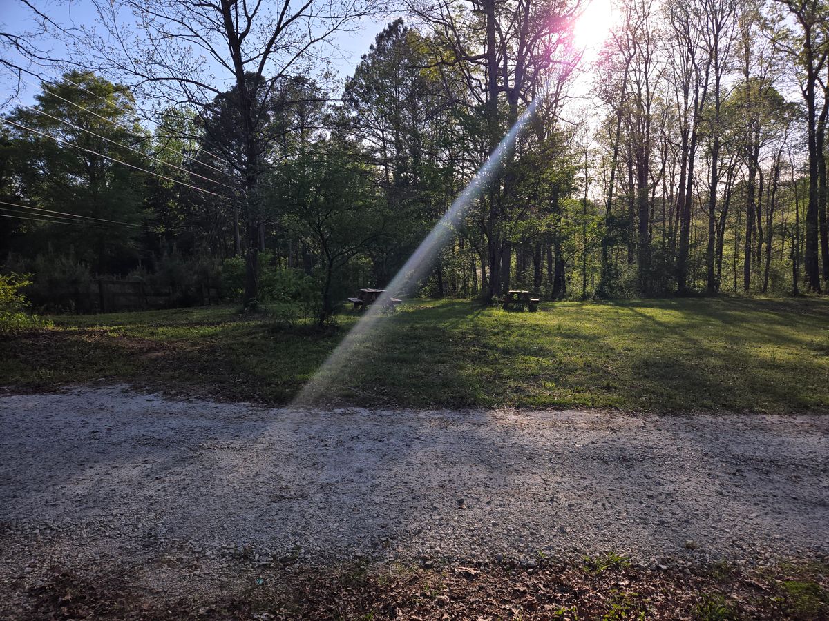 Hole 3 tee to basket