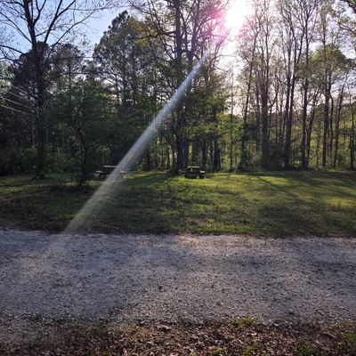 Hole 3 tee to basket