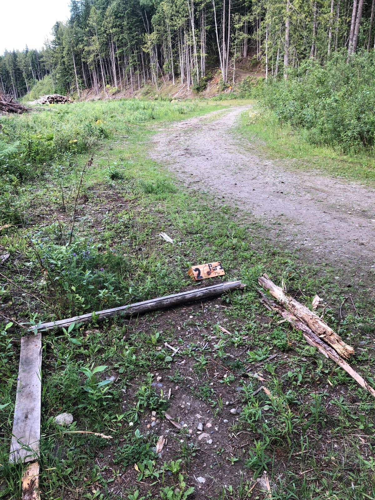 Hole 2 tee follow road to the pink hanging propane bottles