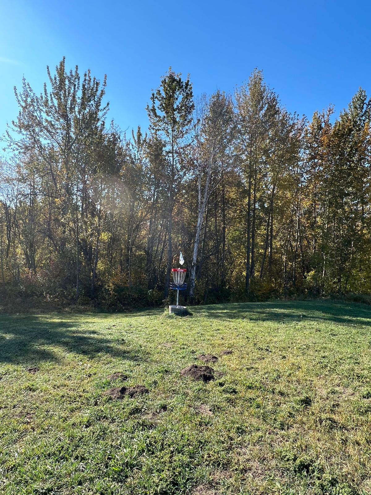 Hole 11 Green
