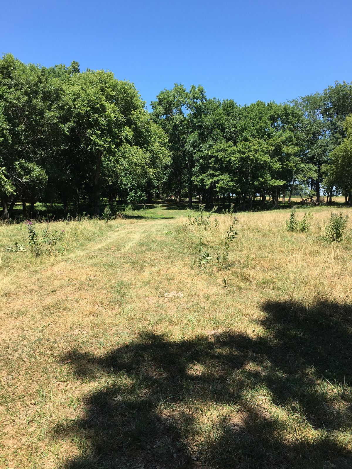 Hole 3 Tee