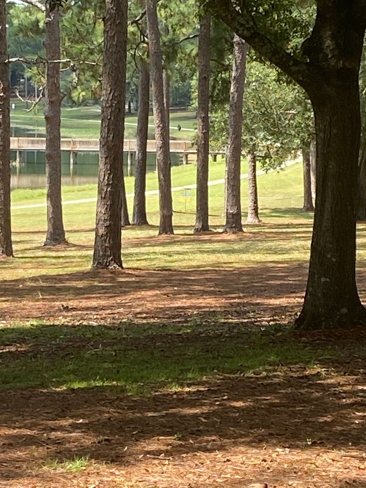 Hole 16