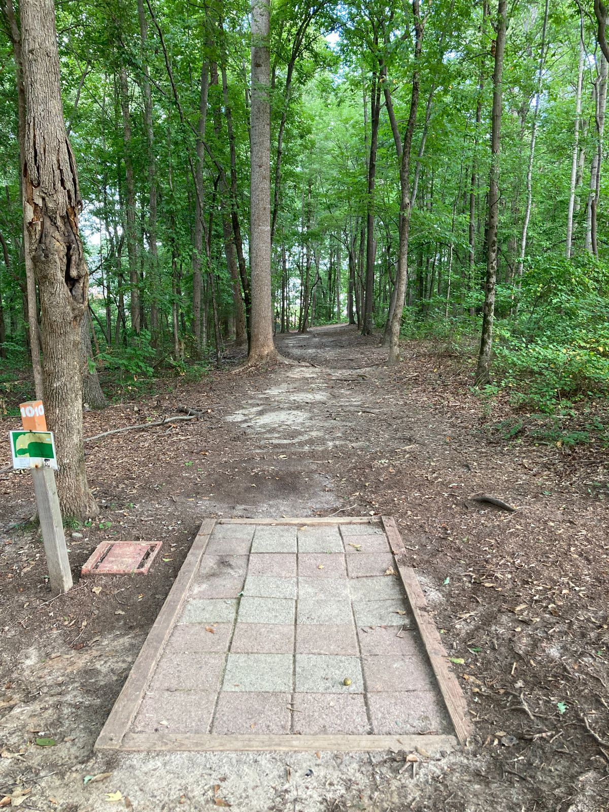 Hole 10 - Steep hill on left leading to casual creek